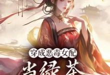 胡说，她才不是坏女人！最新章节胡说，她才不是坏女人！在线阅读-逐鹿文学