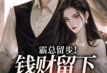 霸总留步！钱财留下爱带走完结版白挽盛云客免费阅读大结局-逐鹿文学