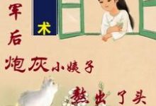 姐随军后，炮灰小姨子熬出了头（吴妮妮叶泽川）完结版免费阅读-逐鹿文学
