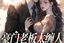 豪门老板太缠人，为她折腰为她疯在线看，沈雾徐宴行小说大结局在哪免费看-逐鹿文学