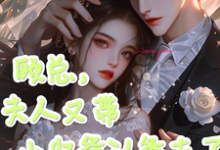顾总，夫人又带小少爷认爹去了完结版顾知衍苏禾免费阅读大结局-逐鹿文学