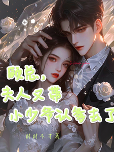 顾总，夫人又带小少爷认爹去了完结版顾知衍苏禾免费阅读大结局