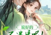 说好的不谈情呢！王爷请自制无弹窗风潇潇陆舟渊最新章节列表-逐鹿文学