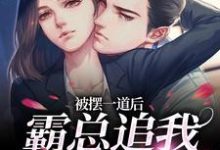 被摆一道后,霸总追我火葬场(池浅顾锦城)最新章节在线阅读-逐鹿文学