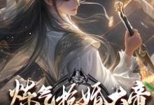 炼气抢婚大帝，你当这里是女频？免费阅读(陆渊萧韵儿)小说免费读最新章节-逐鹿文学