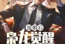 求助这本退婚后，枭龙觉醒，镇压当世小说在哪里可以看完结版-逐鹿文学