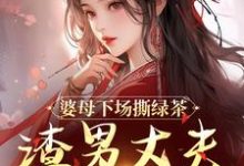 求助这本婆母下场撕绿茶，渣男丈夫被赶出家小说在哪里可以看完结版-逐鹿文学