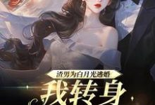 渣男为青梅逃婚,我转身嫁他小叔热门小说(慕清池霍璟川)在线阅读无弹窗-逐鹿文学