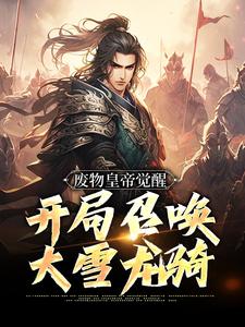 小说废物皇帝觉醒，开局召唤大雪龙骑主角辰渊免费阅读