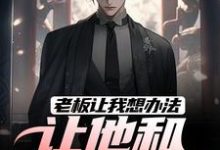 老板让我想办法，让他和老婆离婚最新章节老板让我想办法，让他和老婆离婚在线阅读-逐鹿文学