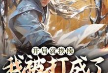 开局就挨揍，我被打成了武林至尊大结局，叶青小说无广告阅读-逐鹿文学