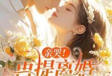 亲哭！再提离婚，霍总彻底失控了大结局，苏暖霍云琛小说无广告阅读-逐鹿文学