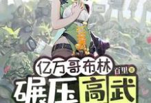 苏命小说的结局在哪可以看,亿万哥布林,碾压高武很合理吧?免费阅读完结版-逐鹿文学