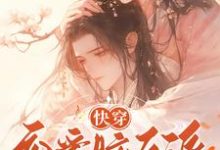 快穿：恋爱脑反派不接受BE剧本热门小说(戴柯墨枭)在线阅读无弹窗-逐鹿文学