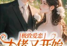 极致爱恋，大佬又开始攻心了（季染傅京渊）最新章节在线阅读-逐鹿文学