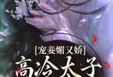 宠妾媚又娇，高冷太子为她失了魂免费阅读(宁宁萧璲)小说免费读最新章节-逐鹿文学