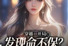 温书乔沈嘉周小说免费阅读最新章节列表，穿成龙傲天的恶毒小姨小说在线看-逐鹿文学