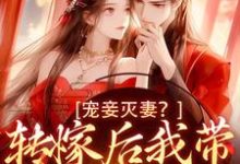 宠妾灭妻？转嫁后我带皇子夺王位免费阅读，魏芷殊大结局无弹窗-逐鹿文学