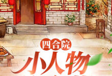 四合院：小人物许大茂（许大茂娄晓娥）完结版免费阅读-逐鹿文学