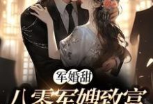 军婚甜:八零军嫂致富撩夫两不误精彩章节阅读(陆宴寻姜枣)免费阅读大结局-逐鹿文学