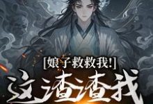 司寻最新章节娘子救救我！这渣渣我虐不完免费阅读-逐鹿文学