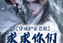 秦禾柳青元在线阅读，穿成护家老祖，求求你们积点德吧小说完结版章节-逐鹿文学