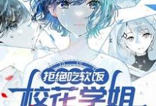 小说拒绝吃软饭，校花学姐气哭了主角周瑾姜惜语免费阅读-逐鹿文学