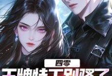 四零：王牌特工别骚了，敌军都怕了免费阅读(柳龙)小说免费读最新章节-逐鹿文学