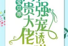 简以宁陆怀瑾小说免费阅读最新章节列表，宝贝乖：高贵大佬在强宠诱哄小说在线看-逐鹿文学
