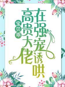 宝贝乖：高贵大佬在强宠诱哄精彩章节在线免费阅读（ 简以宁陆怀瑾）