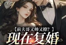 前夫哥又帅又撩？现在复婚来得及吗无弹窗安婳肖政最新章节列表-逐鹿文学