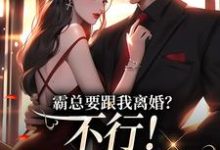 霸总要跟我离婚？不行！我身无分文免费阅读，覃笙大结局无弹窗-逐鹿文学