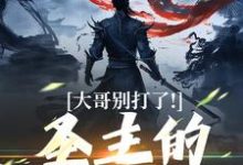 大哥别打了!圣主的心都碎了(陈寻)最新章节免费阅读-逐鹿文学