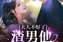 黎岁霍砚舟小说的结局在哪可以看，夫人不好了！渣男他要求爱免费阅读完结版-逐鹿文学