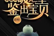 震惊！我能从破烂里鉴出宝贝！免费阅读，陆飞大结局无弹窗-逐鹿文学