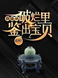 震惊！我能从破烂里鉴出宝贝！免费阅读，陆飞大结局无弹窗