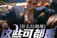 什么垃圾堆？这些可都是科技神器！完结版程乞免费阅读大结局-逐鹿文学