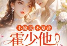 不原谅，不复合，霍少他觊觎我（主角苏眠）完结版免费阅读-逐鹿文学