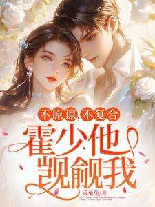 完结版不原谅，不复合，霍少他觊觎我在哪免费看，苏眠小说在线阅读