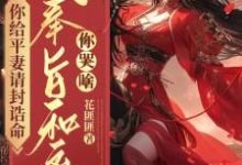 主人公是陆知苒的小说你给平妻请封诰命,我奉旨和离你哭啥?免费阅读-逐鹿文学