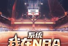 系统：我在NBA把把都超神在线看，林浩科比小说大结局在哪免费看-逐鹿文学