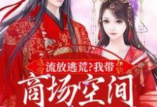 流放逃荒？我带商场空间活的舒服嘞（林书棠段砚洲）最新章节在线阅读-逐鹿文学