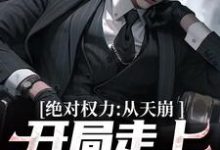 徐子杰宁傲雪小说的结局在哪可以看，绝对权力：从天崩开局走上官途巅峰免费阅读完结版-逐鹿文学