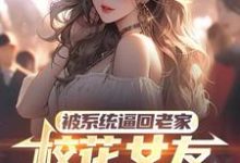 萧川小说免费阅读最新章节列表，被系统逼回老家，校花女友追来了小说在线看-逐鹿文学