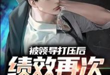 精彩章节阅读被领导打压后,绩效再次被清零!(孙平安林若薇)免费小说在线看-逐鹿文学