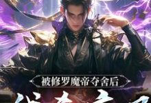 主角是宋萧然的小说被修罗魔帝夺舍后，我杀疯了在哪免费看-逐鹿文学