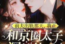 温妍小说的结局在哪可以看，前夫出轨那天，我正和京圈太子深情热吻免费阅读完结版-逐鹿文学