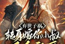 弃世子祸，转身嫁你小叔万千宠爱完结版慕容羽汐白若轩免费阅读大结局-逐鹿文学
