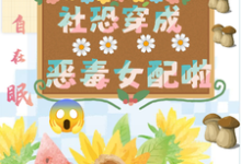 求助这本坏了，社恐穿成恶毒女配啦小说在哪里可以看完结版-逐鹿文学