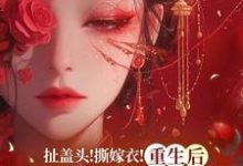扯盖头！撕嫁衣！重生后她不忍了（司若雪墨锦成）最新章节在线阅读-逐鹿文学
